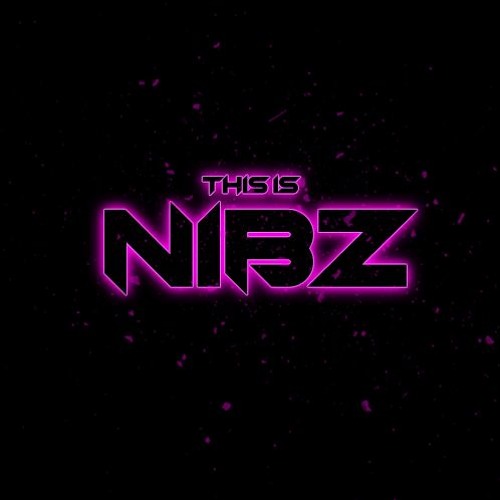 THIS IS NIBZ