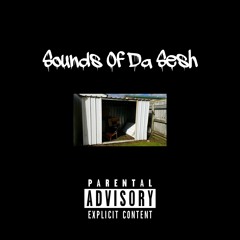 Sounds Of Da Sesh
