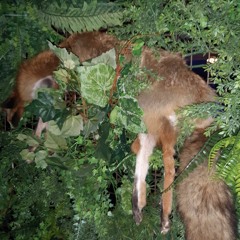 DJ INNES (TEKK DJZ) LIVE IN GRAZ 2019