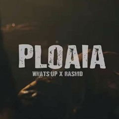What's UP feat Rashid - Ploaia