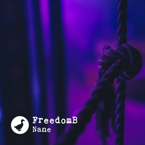 Premiere: FreedomB - Nane [Sisyphon]