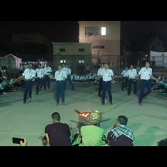 صيحة وفد كايرو القمية الثلاثون ٣٠ (تفوت سنين)