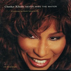 Chaka Khan 'Never Miss the Water' (Nick Davie remix)