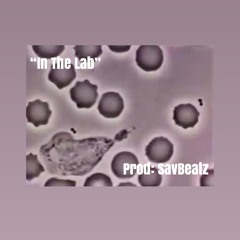 In The Lab