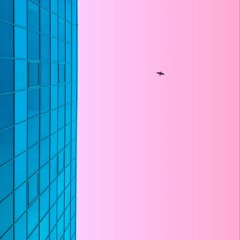 Pink Sky Horizon