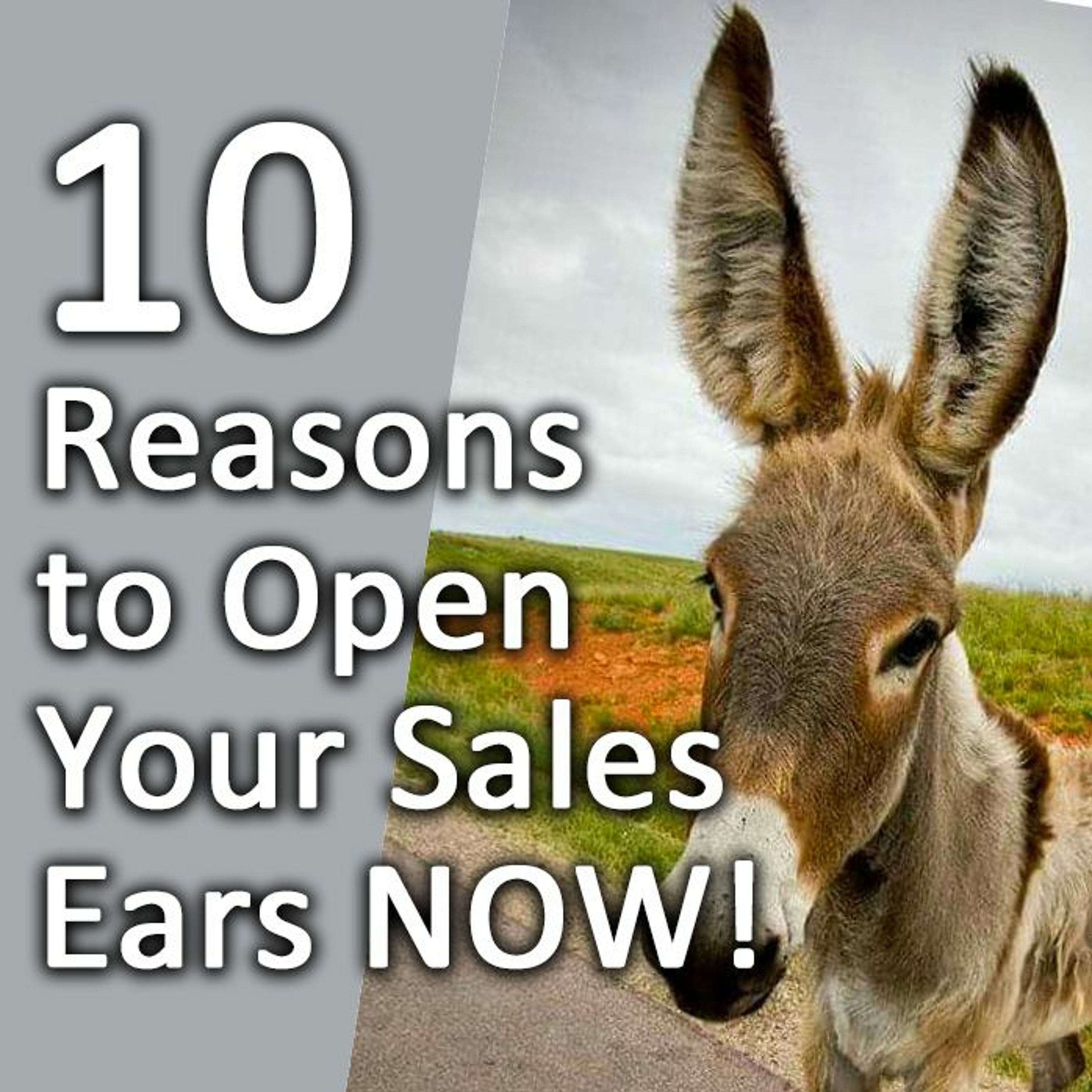 Ad Sales Training Nation