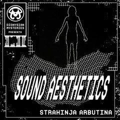 Sound Aesthetics 37: Strahinja Arbutina
