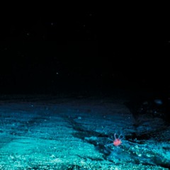 Kurai x Angelo Piana - Undersea