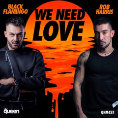 WE NEED LOVE ( ORIGINAL VERSION ) - BLACK FLAMINGO & ROB HARRIS