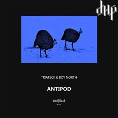 FULL PREMIERE : Triateck & Boy North - Antipod [Bullfinch]