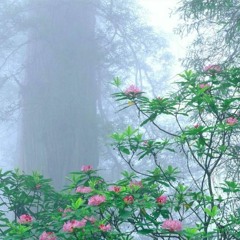 serene