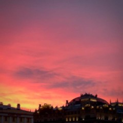 Багровый на золотом