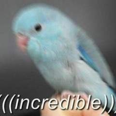 [Compilation] More unfinished stuff oo yea woo yea