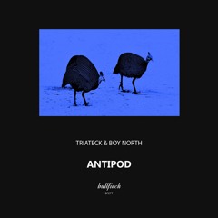 PREMIERE : Triateck & Boy North - Meridian (Original Mix) [Bullfinch]