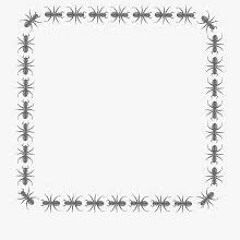 SQuared Ants