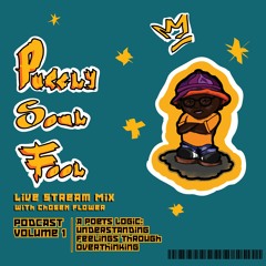 Purely Soul, Fool Vol. 1 | A Poets Logic: Understanding feelings through overthinking