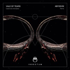 Sleepwalking (Abyssvm Remix)