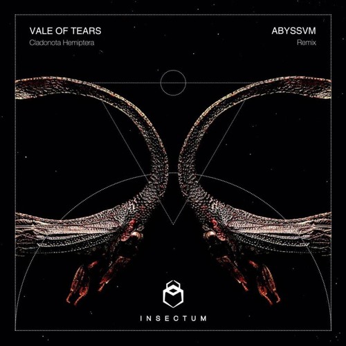 Sleepwalking (Abyssvm Remix)