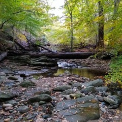 Soapstone valley