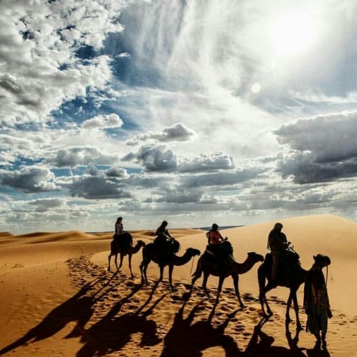 سورة يونس، القارئ رعد الكردي