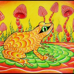 Musk- Metallic Frogs