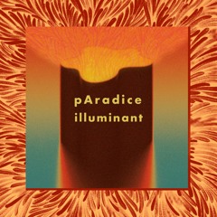 PODCAST #18 : pAradice - illuminant