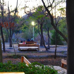 برای تمام رویاهات