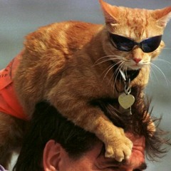 no one can be what i want (even the one that i want)