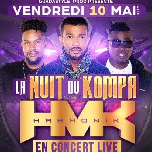 Harmonik- Baissez Bas Live Bordeaux