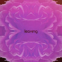Leaving (Euphoria Song Contest)