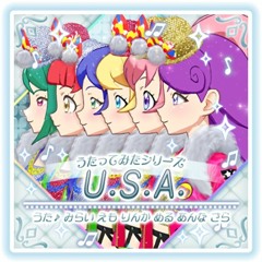 U.S.A. Prichan Ver (EC Remix)