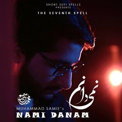 Nami Danam | Muhammad Samie