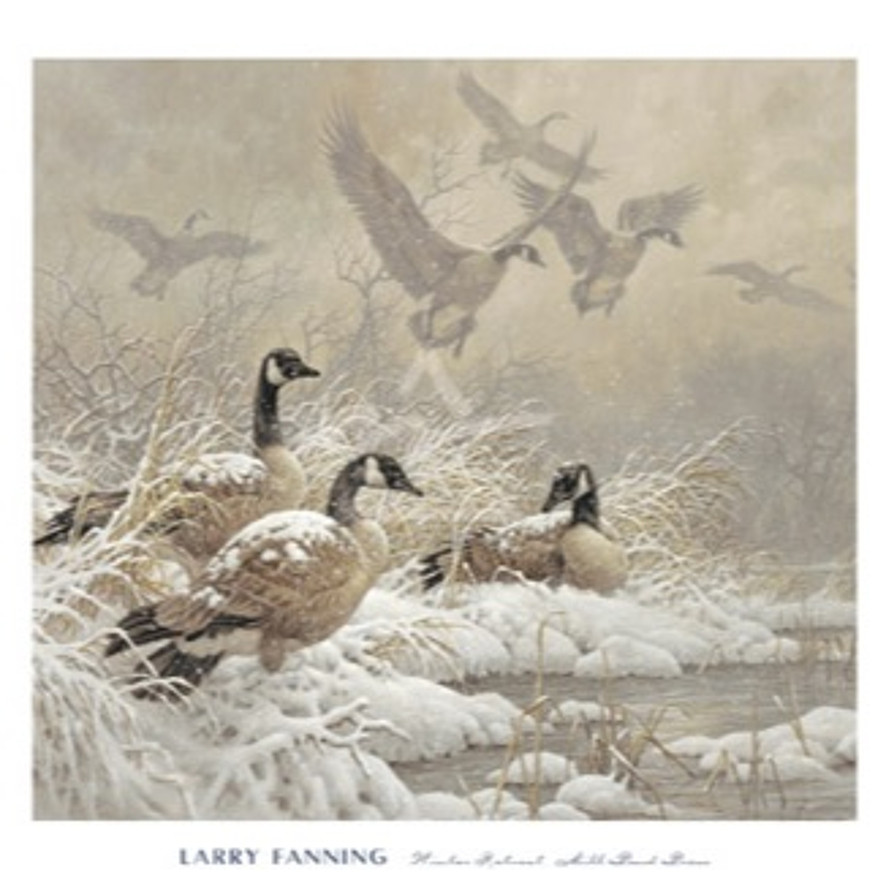 WILD GEESE by Mary Oliver episode artwork