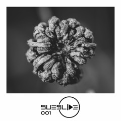 Stephan Zovsky - The Red Queen Ep (Sueslide 001)