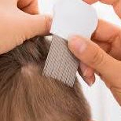 Stream Head lice and how to treat it in children by OceanFM Ireland