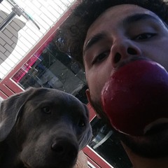 dawgs (prod. pinomin)