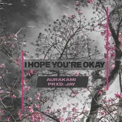 I Hope You're Okay (feat. Aurakami)