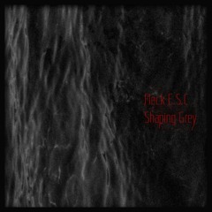 Fleck ESC - Shaping Grey / Preview / Releases 16th December 2019
