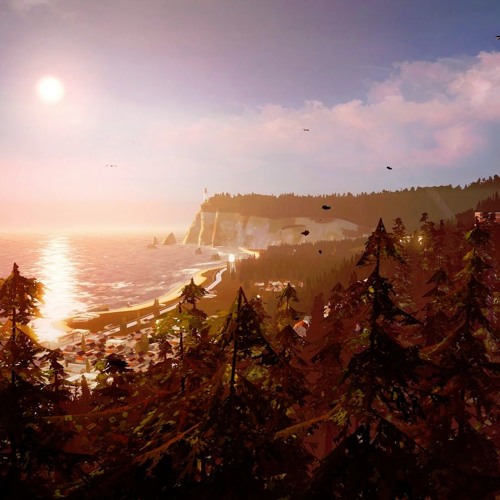Arcadia Bay (on all streaming platforms)