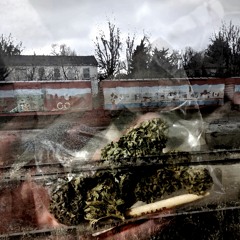 Bojack Horseman type beat