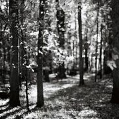 Watch Where Youre Going (. .)