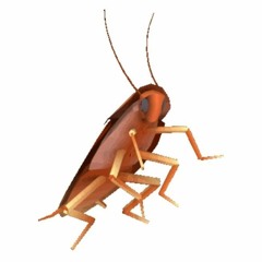 dancing autotune roach type beat [prod. LUIOFFICIAL]