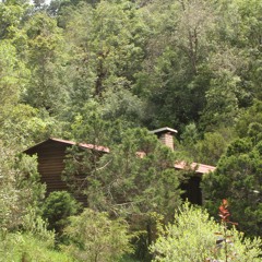 Citaraná feat Tay Monsta