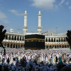 Are hajio tum haram  ja rahe ho