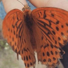 FEAR- KENDRIK LAMAR ''REMIX'' DEMO