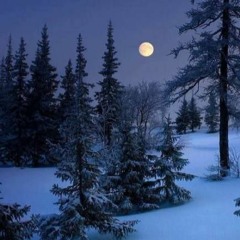 Winter_Night.2019.mp3