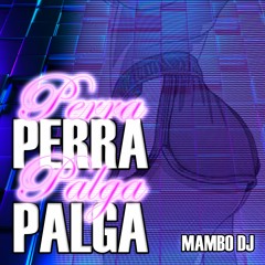 PERRA PALGA - RKT - REGGAETON 2020 - MAMBO DJ