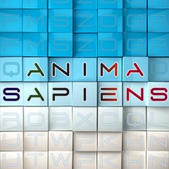Anima Sapiens - Colors Of Night