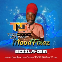 TNS MoodFixaz: Sizzla-ism
