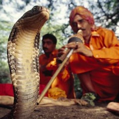 The Snake Charmer
